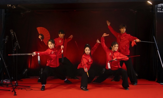 武術(shù)表演。中國(guó)駐芬蘭大使館供圖