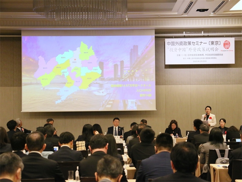 地方代表進(jìn)行專題投資推介。人民網(wǎng) 許可攝