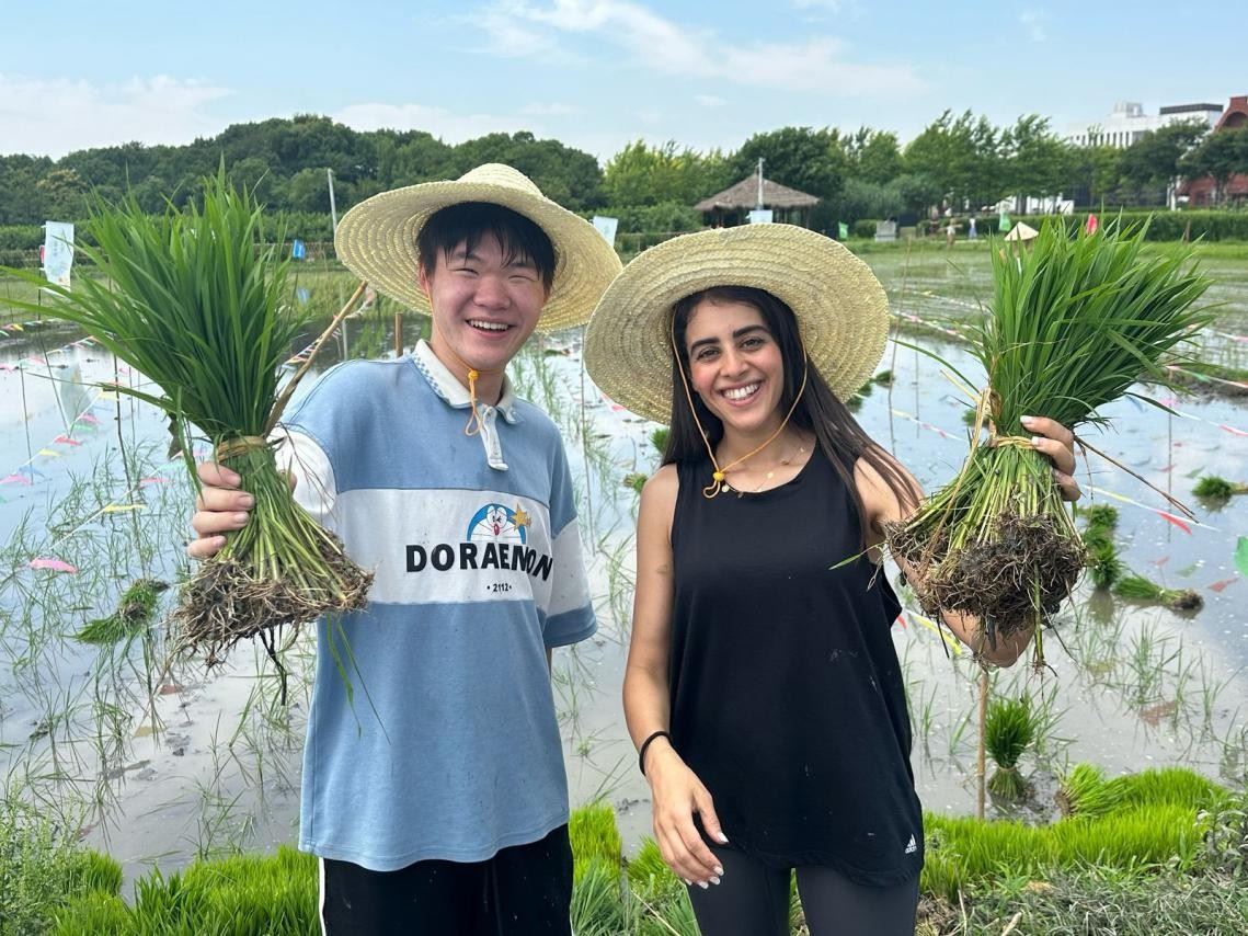 卡友琪在插秧。受訪(fǎng)者供圖