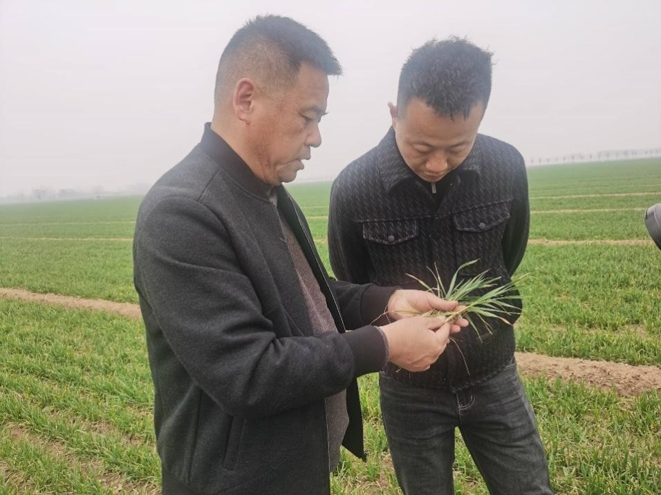 在山東濟寧汶上縣苑莊鎮(zhèn)，農(nóng)技員黃海龍對種糧大戶王振現(xiàn)場進行春耕指導(dǎo)。人民網(wǎng)記者 車柯蒙攝