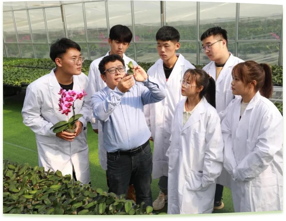 濰坊工程職業(yè)學(xué)院科技創(chuàng)新團(tuán)隊(duì)為花卉行業(yè)從業(yè)者作蝴蝶蘭雜交選育技術(shù)指導(dǎo)。學(xué)校供圖