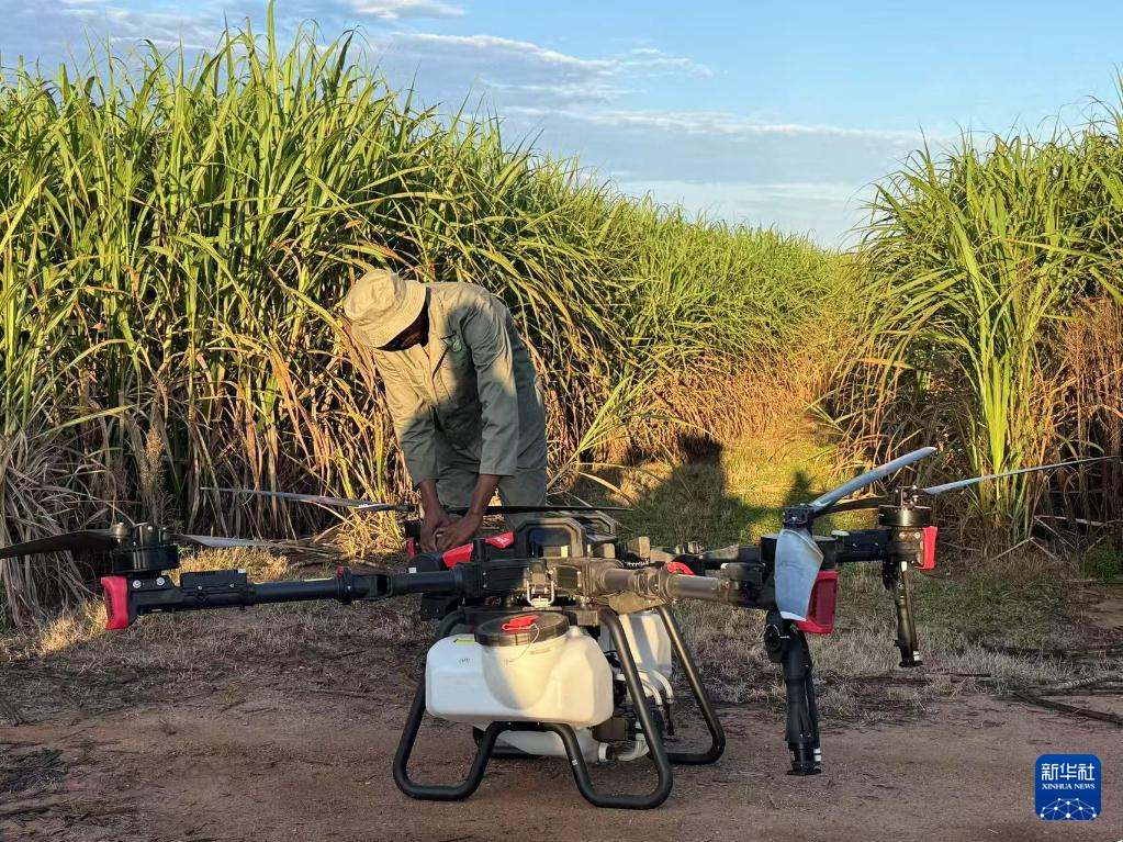 3月25日，在南非夸祖魯-納塔爾省的方廷希爾莊園，工作人員為無人機做起飛作業(yè)前的準備。新華社記者 白舸 攝