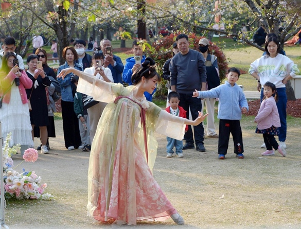 清明假期期間，上海顧村公園櫻花島上，游客在觀賞國風(fēng)漢服快閃表演。（圖片來源：視覺中國）