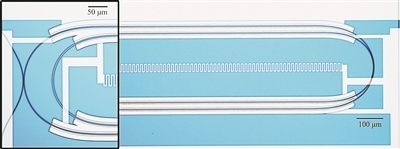 微波光量子傳感器的光學(xué)顯微照片。圖片來源:美國哈佛大學(xué)