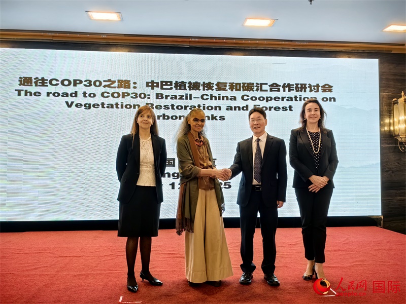 中國(guó)國(guó)家林業(yè)和草原局副局長(zhǎng)李云卿（右二）、巴西環(huán)境和氣候變化部部長(zhǎng)瑪麗娜·席爾瓦（左二）、巴西財(cái)政部副部長(zhǎng)羅熙丹（右一）、巴西駐華大使館公參樂美（左一）出席“通往COP30之路：中巴植樹造林和碳匯合作研討活動(dòng)”。人民網(wǎng)記者 符園園攝