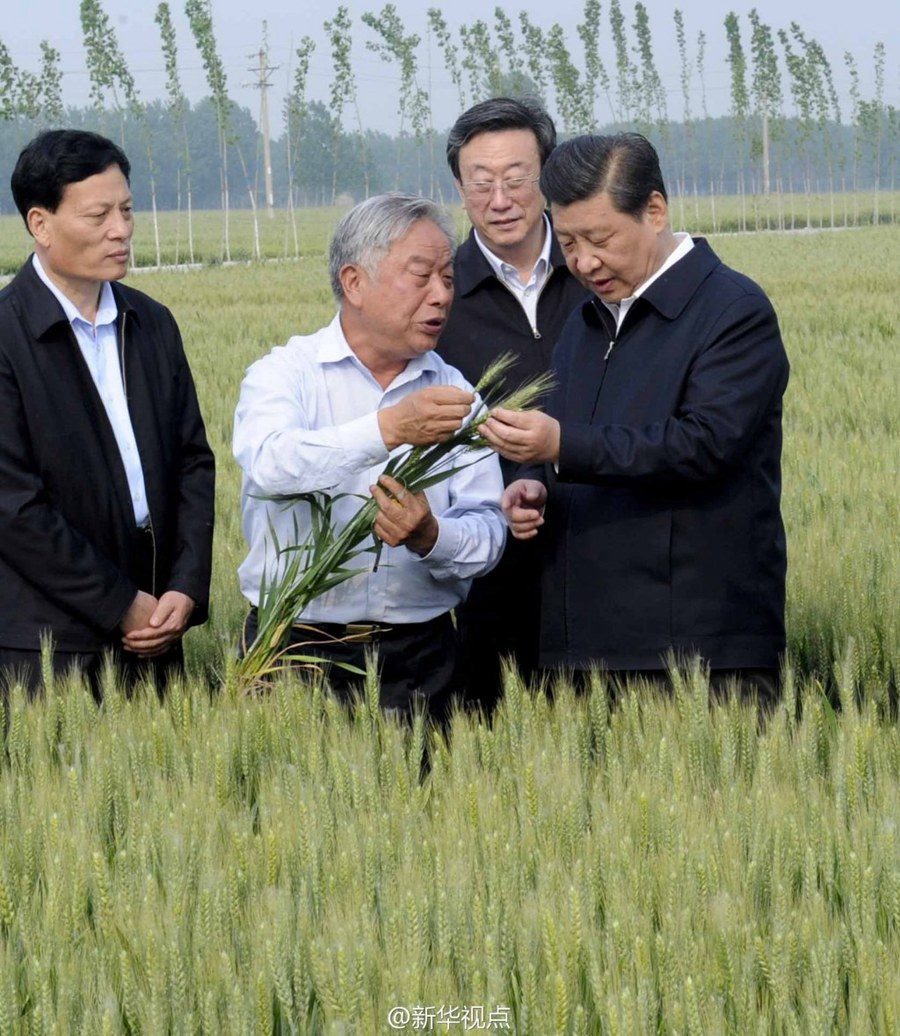 2014年5月，習(xí)近平總書記在河南省尉氏縣張市鎮(zhèn)高標(biāo)準(zhǔn)糧田察看小麥長勢(shì)。
