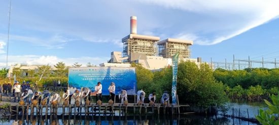 5月18日，中印尼嘉賓在爪哇7號(hào)燃煤電站舉行紅樹林補(bǔ)植儀式。記者 曹凱 攝