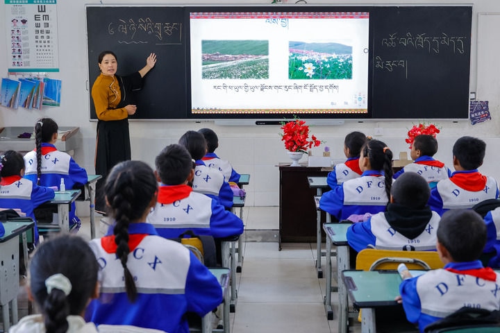 2024年9月27日，在四川省甘孜藏族自治州道孚縣城關(guān)第一完全小學(xué)，采取“藏加模式”教學(xué)的五年級一班的藏語文課上，準(zhǔn)木周老師指導(dǎo)藏族學(xué)生以家鄉(xiāng)草原風(fēng)物為主題寫作藏語文作文。新華社記者 沈伯韓 攝